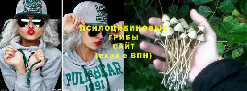 KRAKEN ссылка  наркотики  Александровск-Сахалинский  Галлюциногенные грибы Psilocybe 